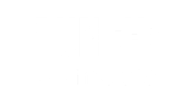 PUNCH!media
